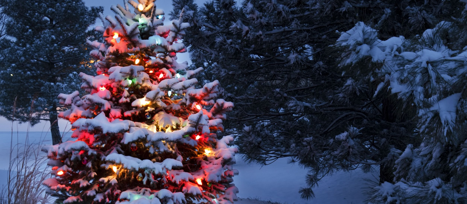Noël en France : 1 pays, 5 façons de profiter des fêtes