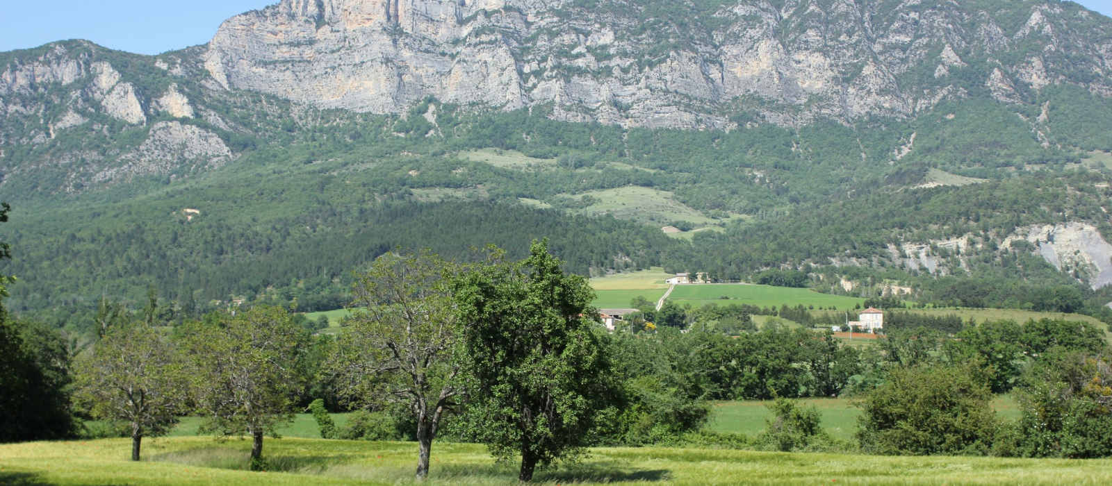 La vallée de la Drôme, du Vercors à la Provence