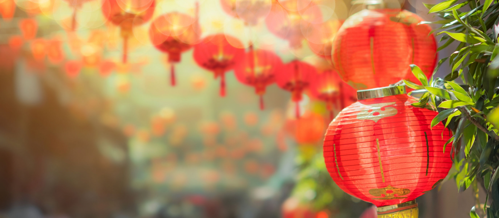 Les meilleurs lieux pour assister au Nouvel An chinois en France