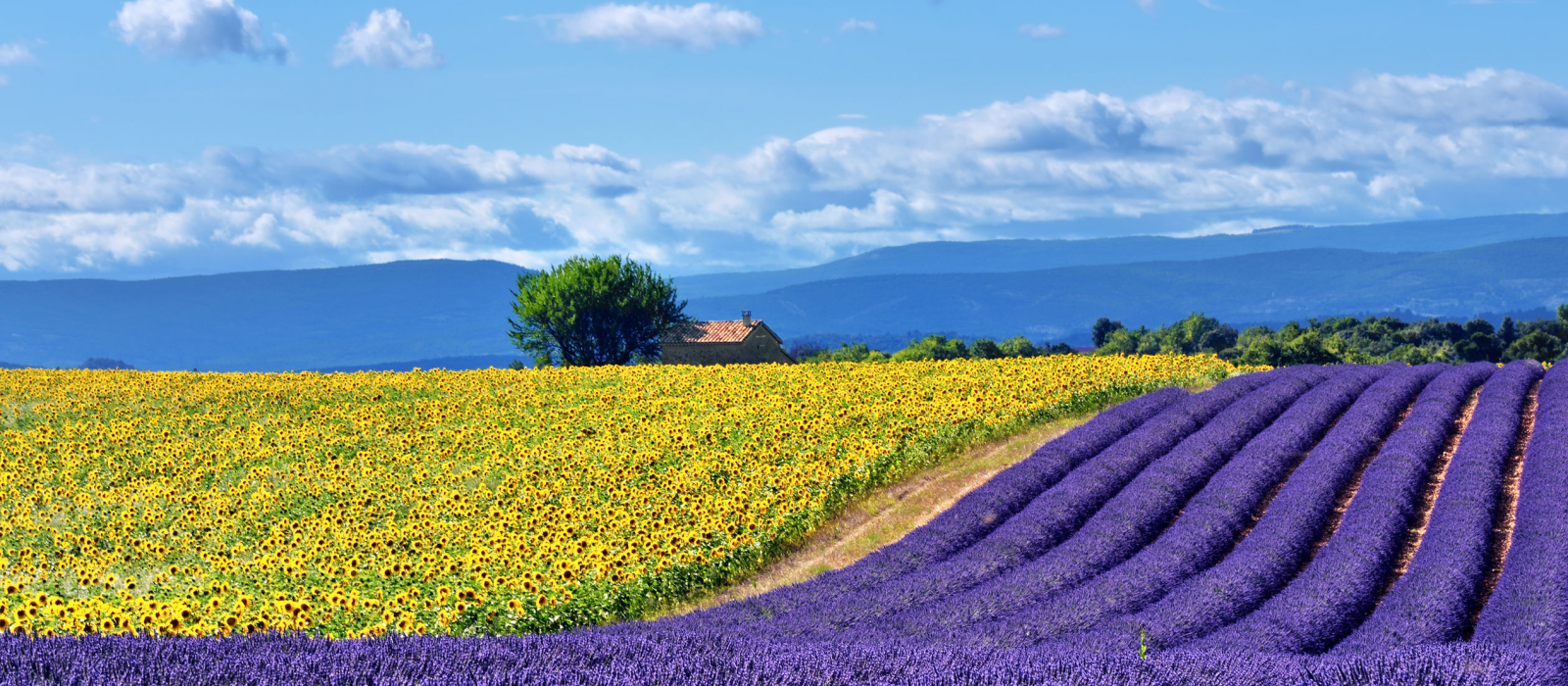 Les incontournables pour une semaine idéale en Provence