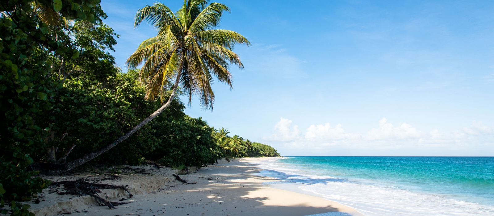 Guadeloupe : 5 spots à couper le souffle !