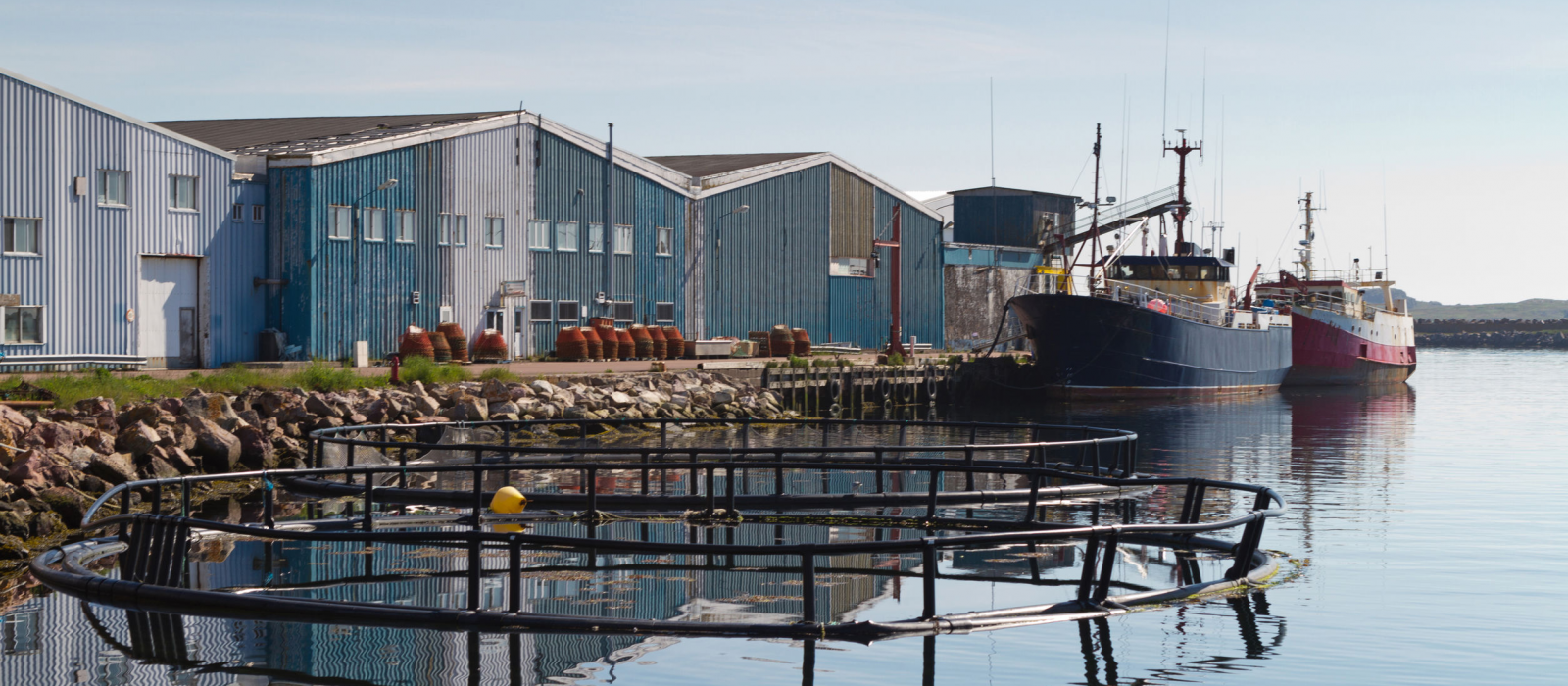 Saint-Pierre et Miquelon : une île de toute beauté