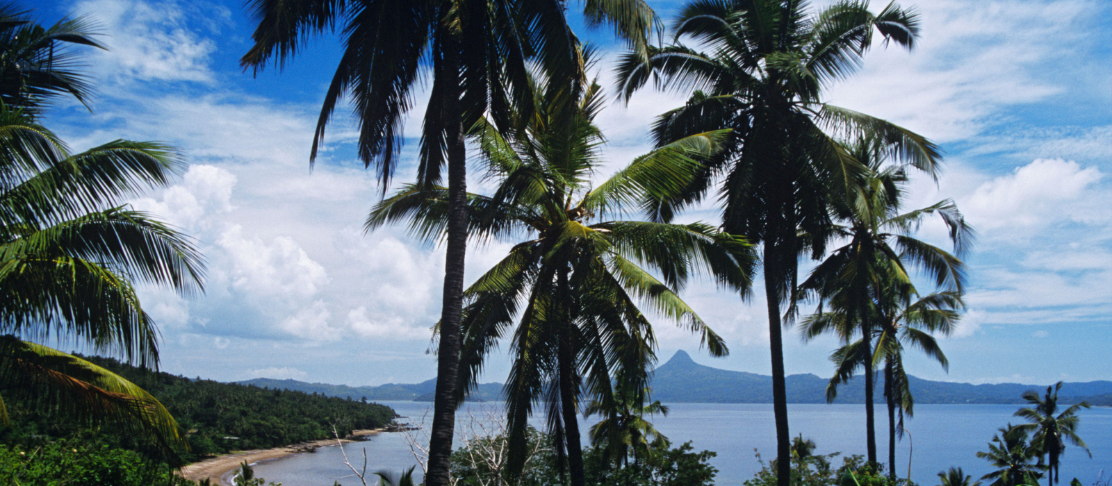 Mayotte : l’île hippocampe au cœur de l’Océan Indien
