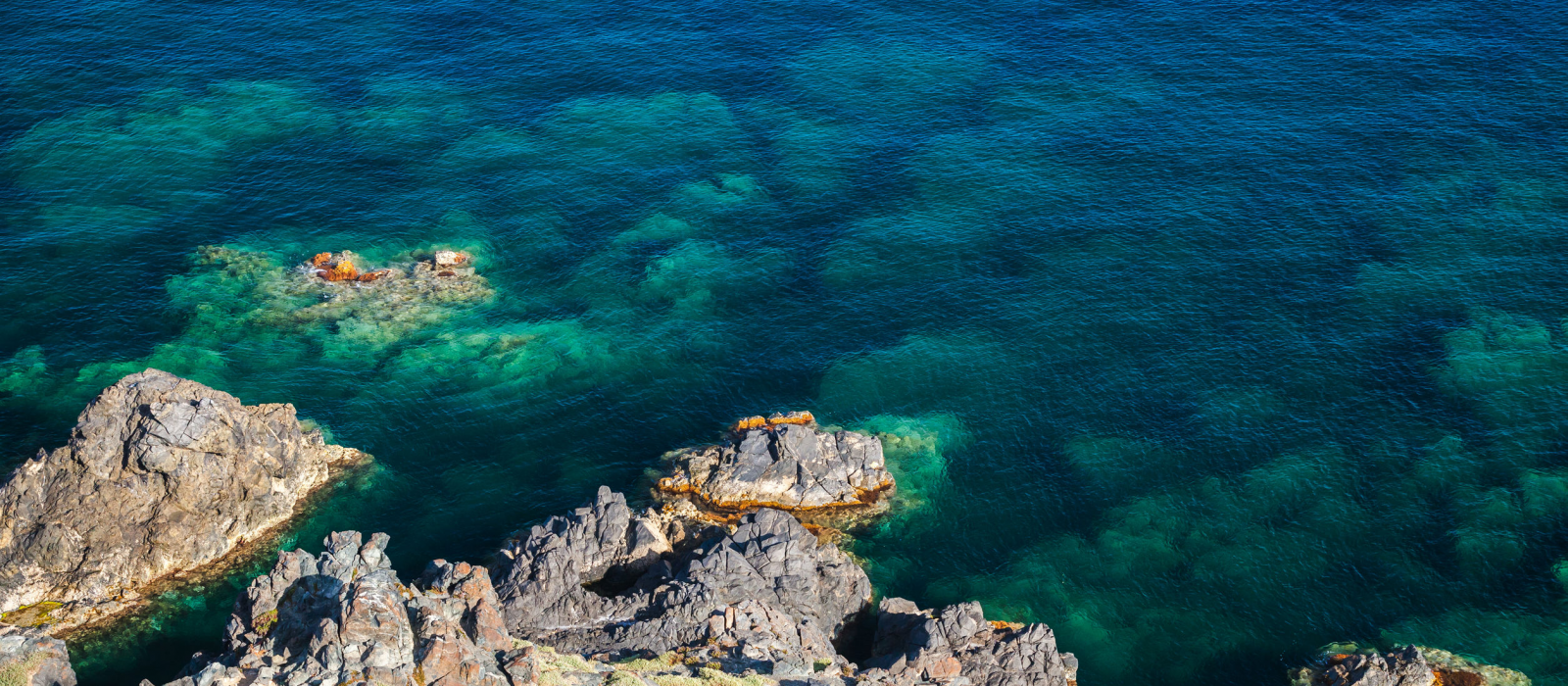 Où faire de la plongée en Corse ?