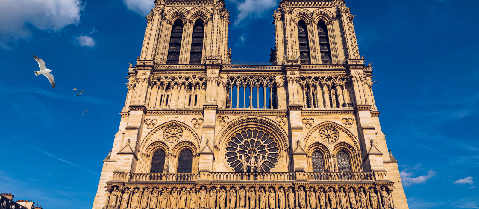 Notre-Dame de Paris : le monument le plus visité en Europe !
