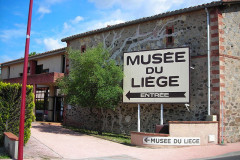 Musée du Liège
