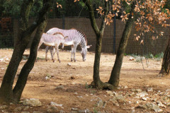 Parc Zoologique de Lunaret