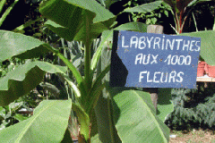 Labyrinthe aux 1000 fleurs
