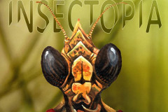 Insectopia