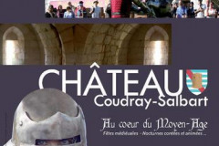 Le Château du Coudray-Salbart