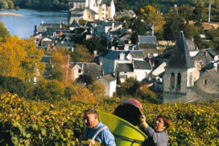 Le Vignoble d'Anjou et de Saumur