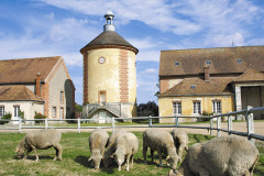 Bergerie nationale - Parc du Château