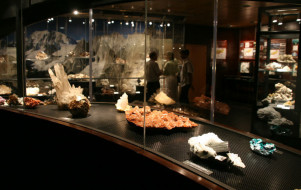 Musée Alpin