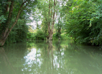 Balade en barque dans le Marais Poitevin