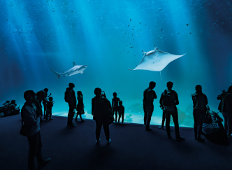 Nausicaá : le plus grand aquarium d'Europe