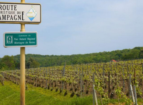 La Route touristique du Champagne