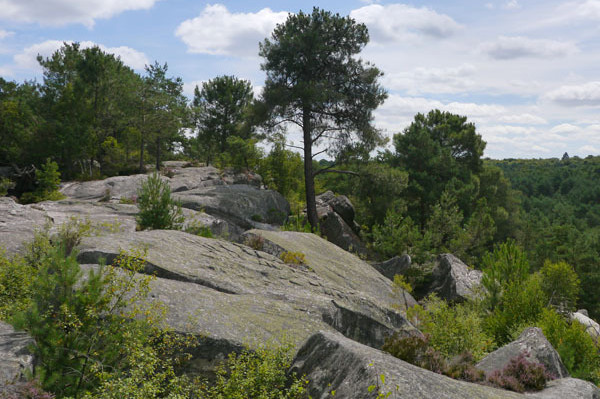 Randonnées dans les Gorges de Franchard - Fontainebleau